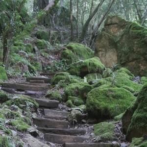 Meet your Posher, Francia